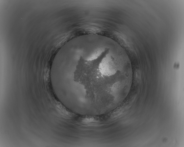 X0000097460177200802221222