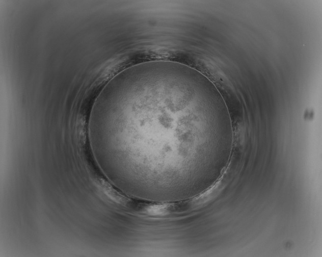 X0000097460178200802221222