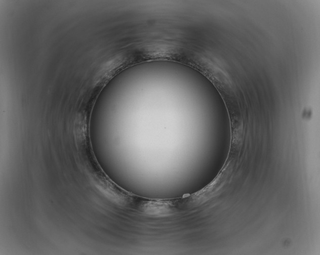 X0000097460179200802221222