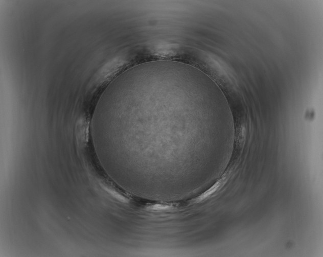 X0000097460180200802221222