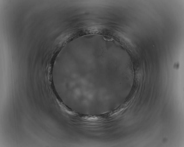 X0000097460181200802221222