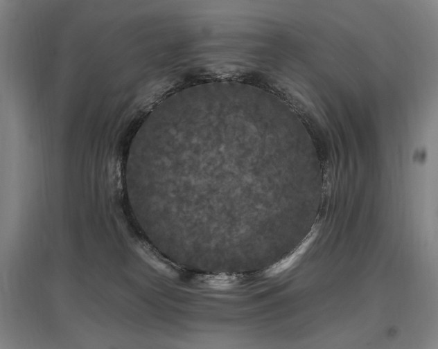 X0000097460182200802221222