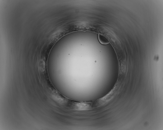 X0000097460183200802221222