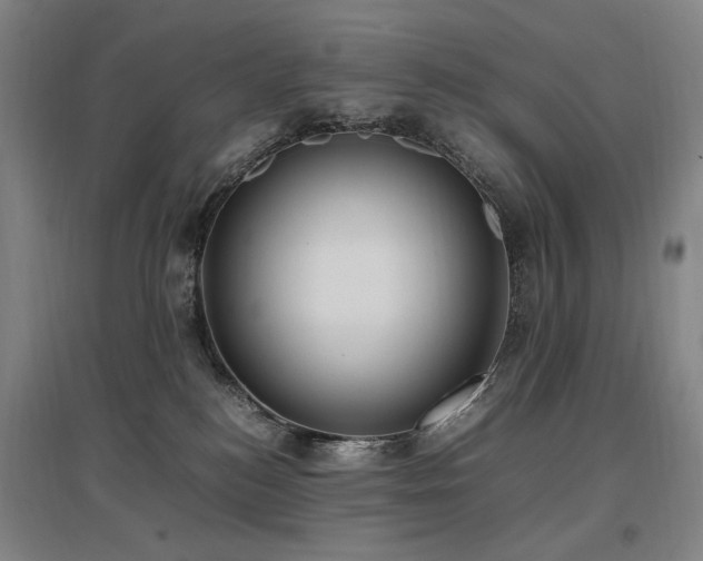 X0000097460184200802221222