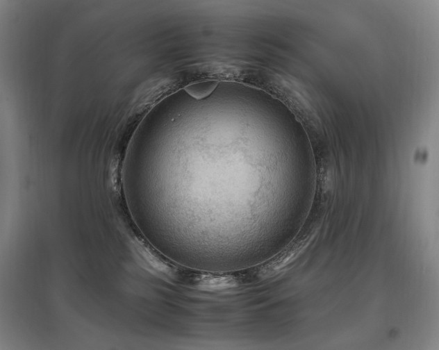 X0000097460185200802221222
