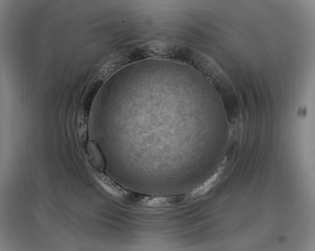 X0000097460186200802221222