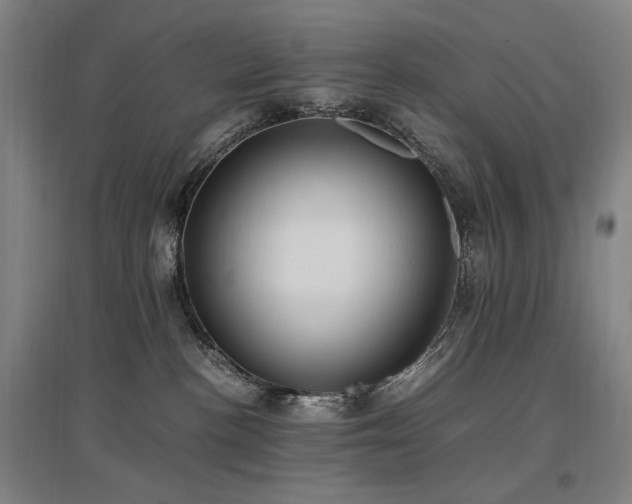 X0000097460188200802221222