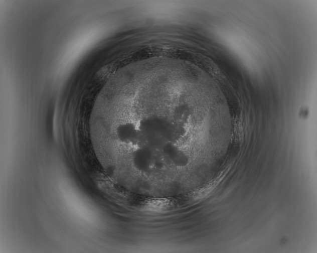 X0000097460189200802221222