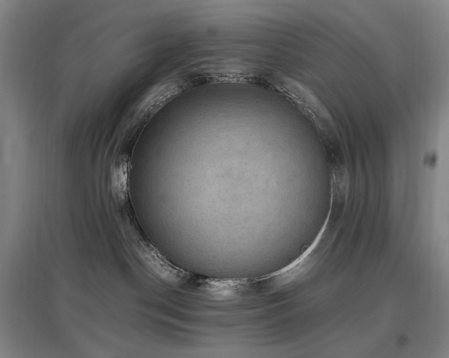 X0000097460190200802221222