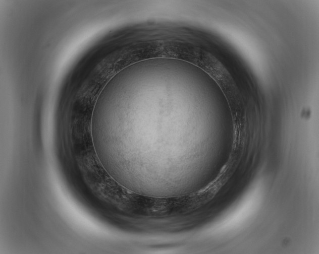 X0000097460191200802221222