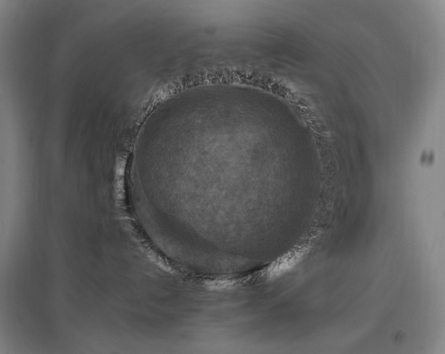 X0000097460192200802221222