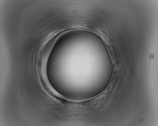 X0000097460193200802221221