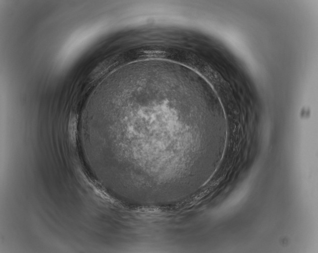 X0000097460194200802221221