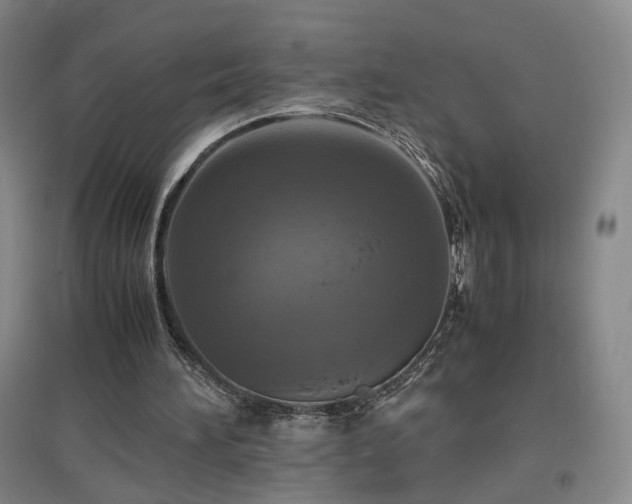 X0000097460196200802221221