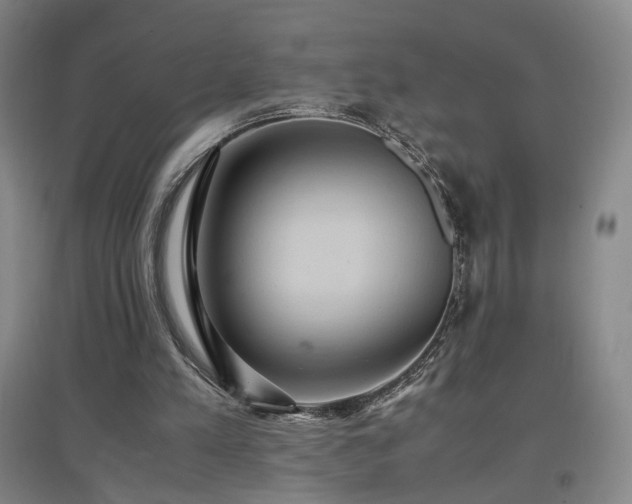 X0000097460197200802221221
