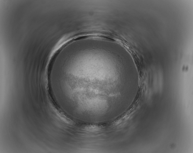 X0000097460198200802221221
