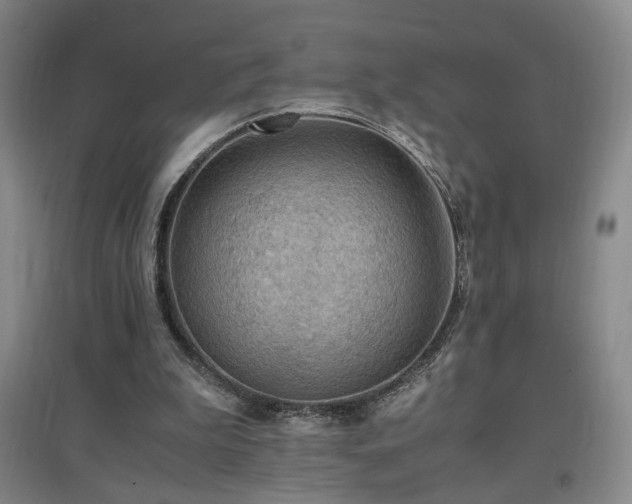 X0000097460199200802221221