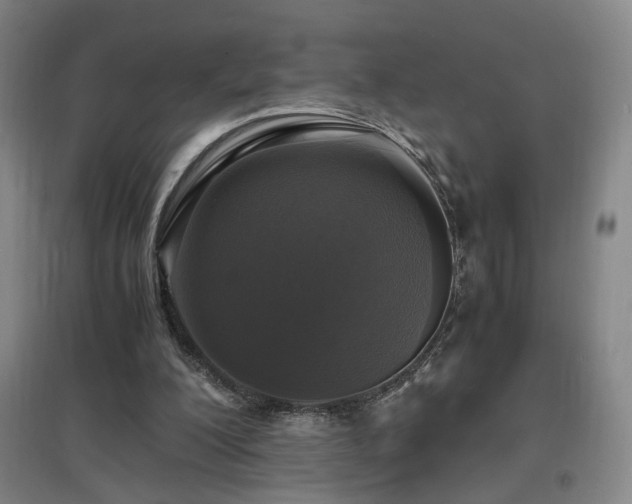 X0000097460200200802221221
