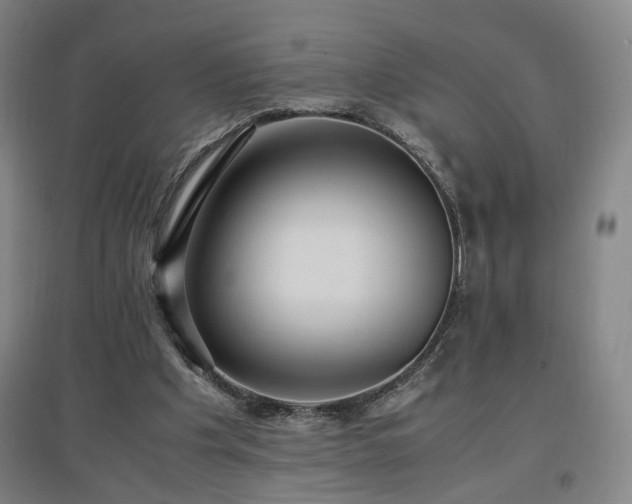 X0000097460201200802221221