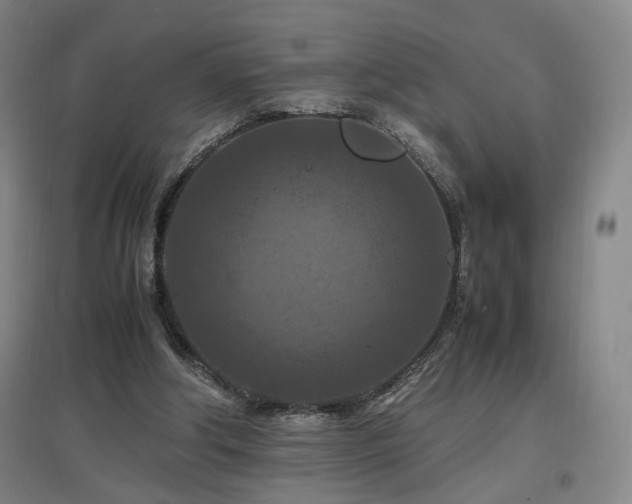 X0000097460202200802221221