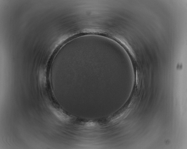 X0000097460204200802221221