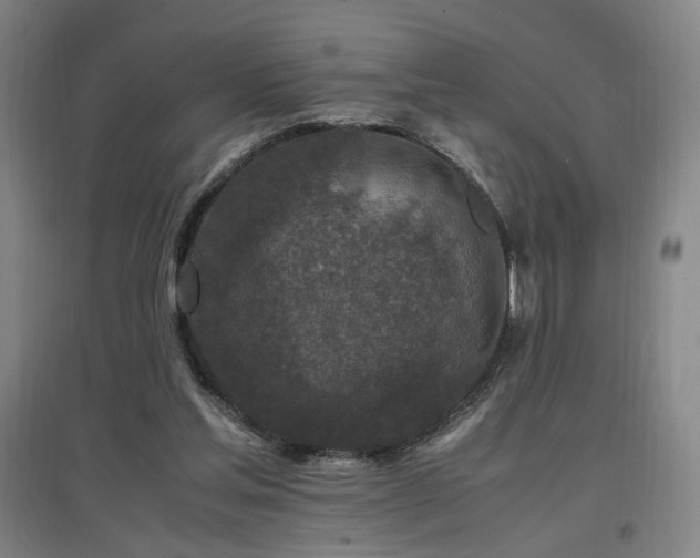 X0000097460205200802221221