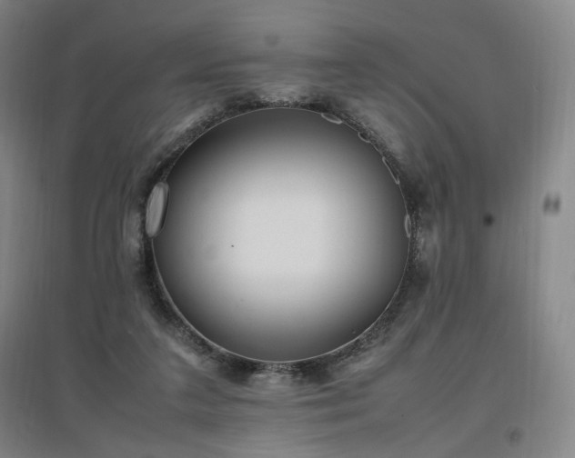 X0000097460211200802221221