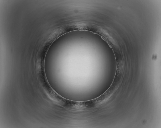 X0000097460213200802221221
