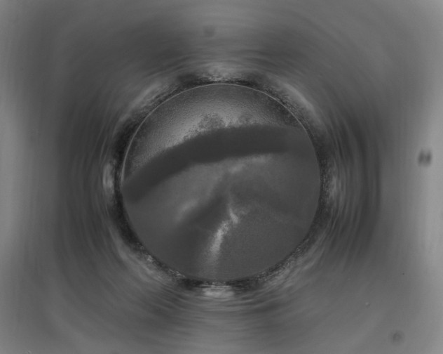 X0000097460214200802221221