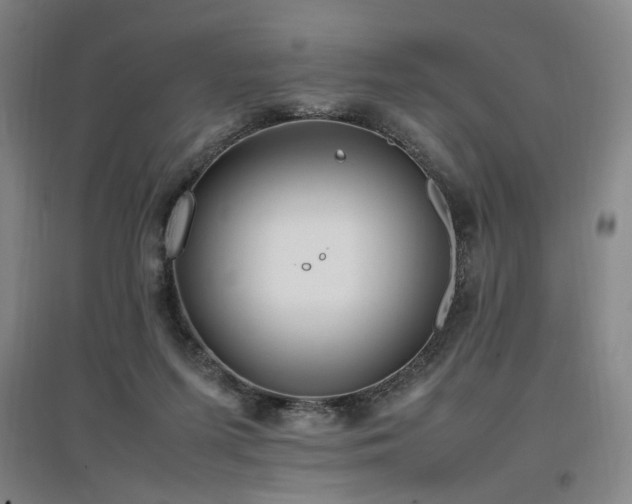 X0000097460215200802221221