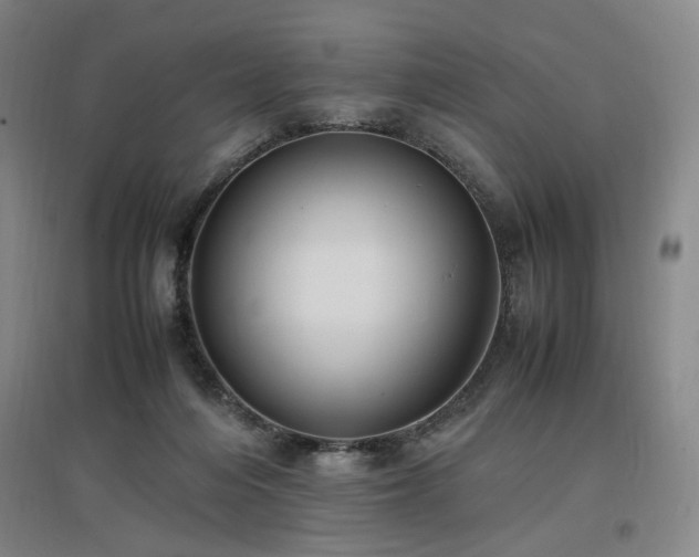 X0000097460216200802221221