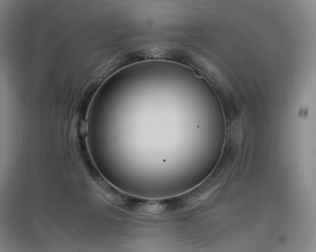 X0000097460217200802221221
