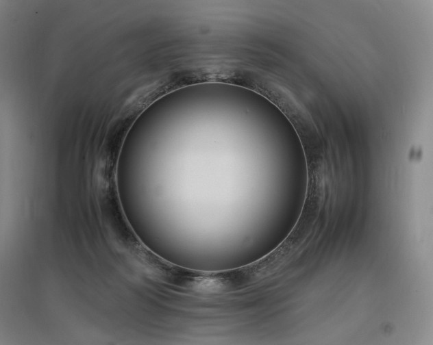 X0000097460218200802221221