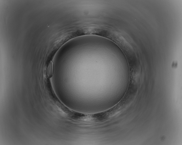 X0000097460219200802221221