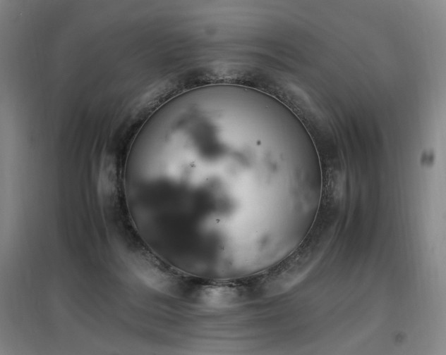 X0000097460220200802221221
