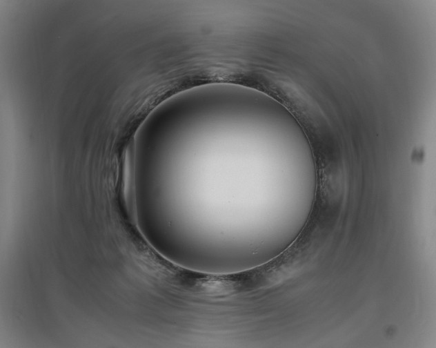 X0000097460221200802221221