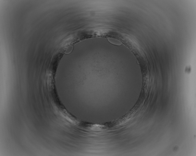 X0000097460222200802221221