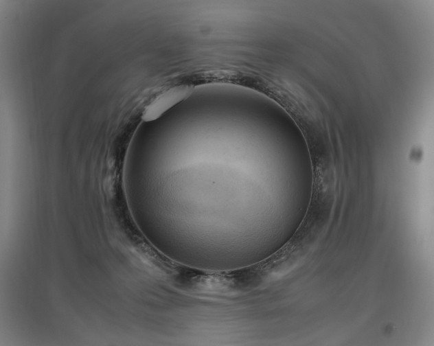 X0000097460223200802221221