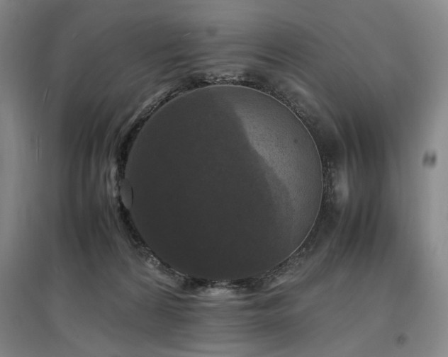 X0000097460224200802221221