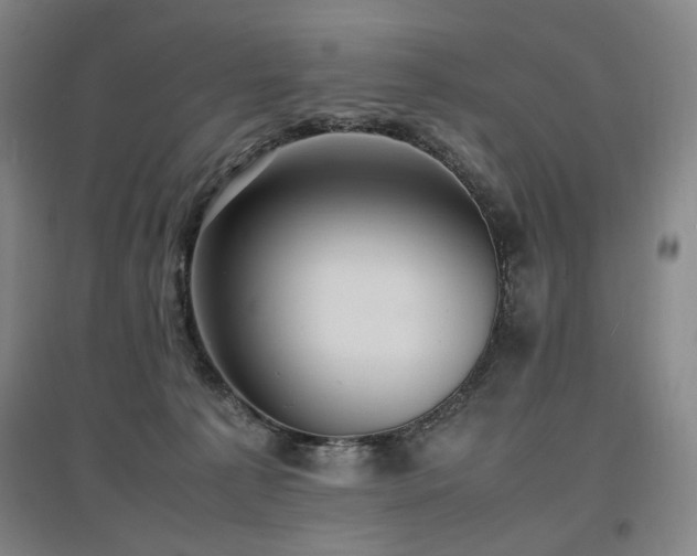 X0000097460225200802221221