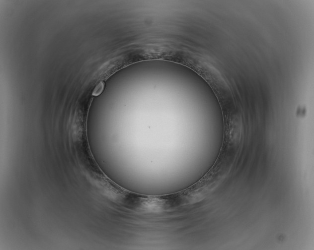 X0000097460226200802221221