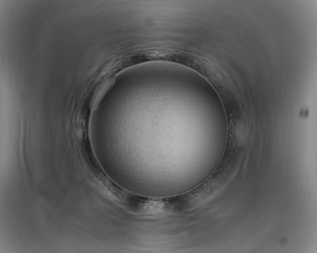 X0000097460227200802221221