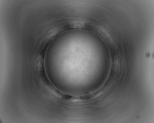 X0000097460228200802221221