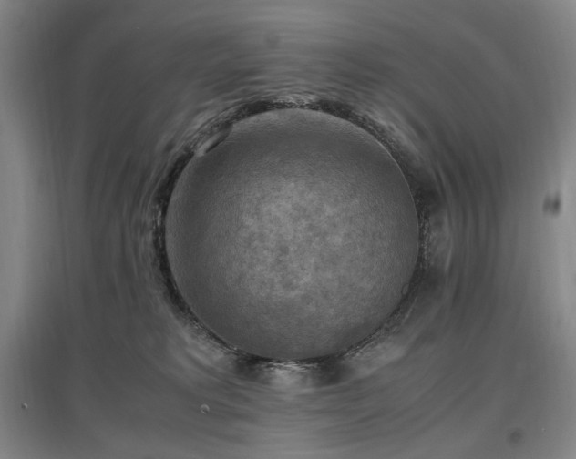 X0000097460229200802221221