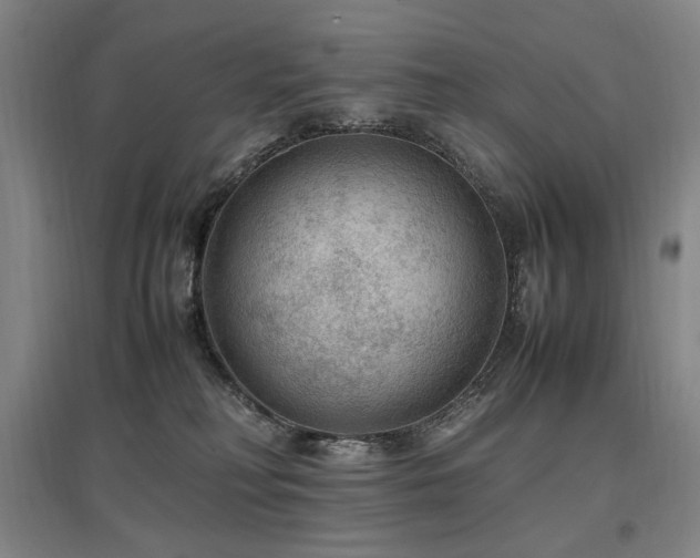 X0000097460230200802221221