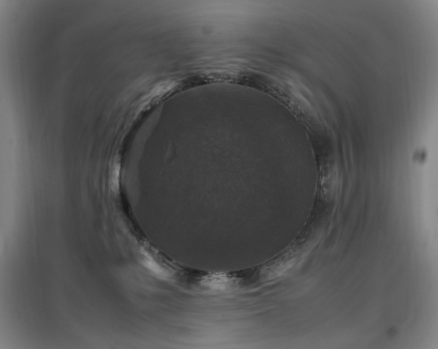X0000097460231200802221221