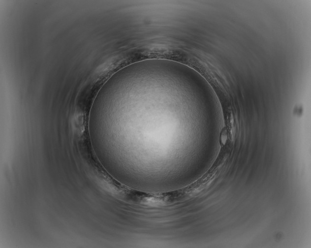 X0000097460232200802221221