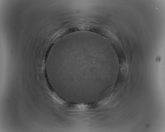 X0000097460233200802221221