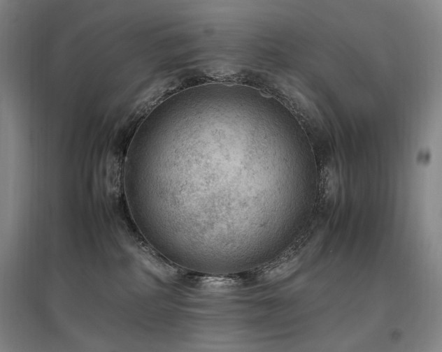 X0000097460234200802221221