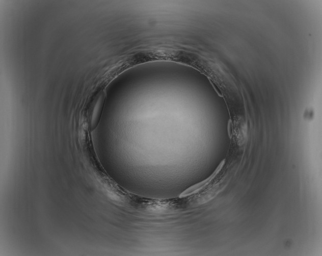 X0000097460235200802221221